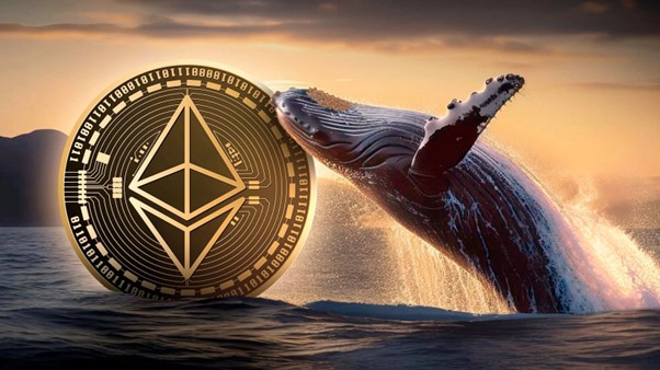 Is Qubetics on Whale’s Radar After Its Massive $154M Ethereum Dump?